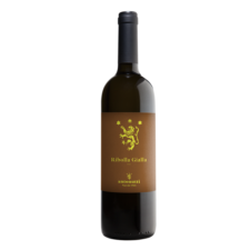 Ribolla Gialla Friuli 2024 bottiglia vino bianco Antonutti