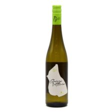 Gruner Veltliner Alpi Retiche IGP Bianco Contadi Gasparotti Valtellina